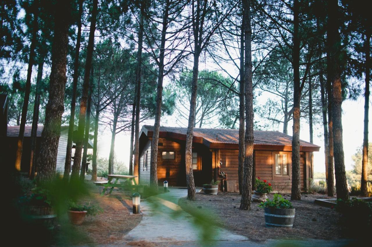 Hotel Kibbutz Ortal Tourism Exteriér fotografie